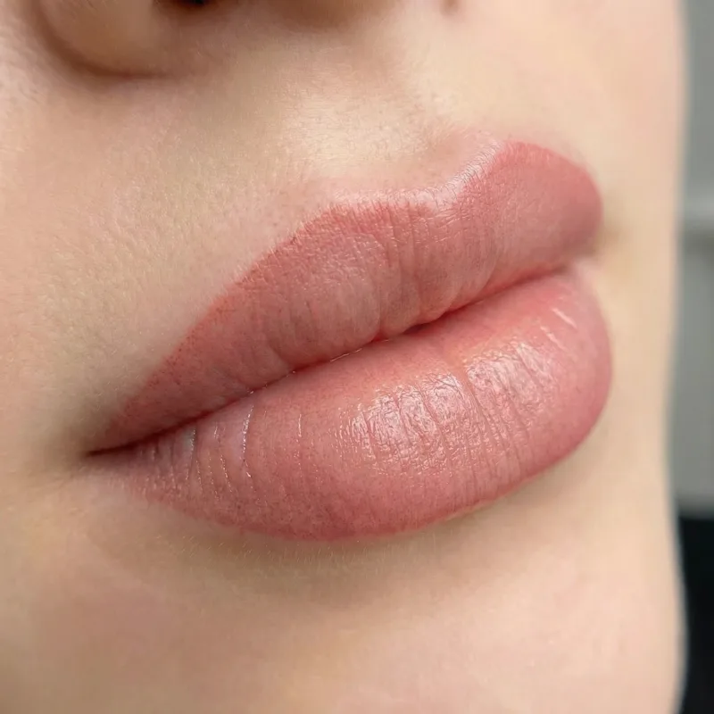 Перманентный макияж губ — элегантный результат, мастер Mary Bell, Самара